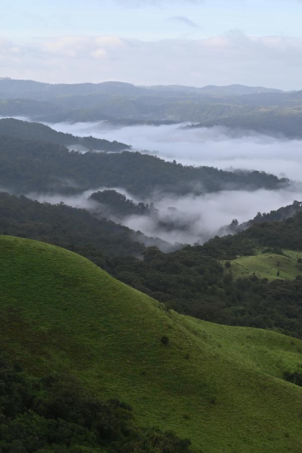 Coorg