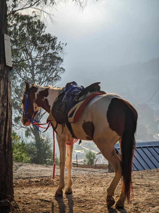 Ooty & Kodaikanal